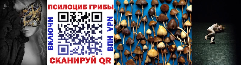 Галлюциногенные грибы ЛСД  Купить закладки  Заозёрск 